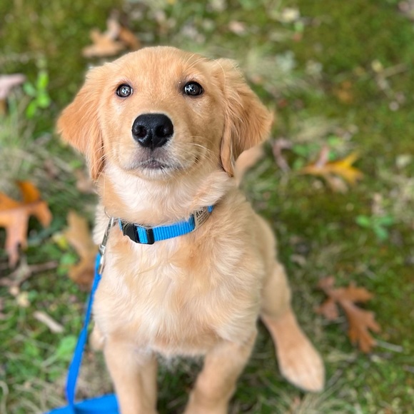 Meet your Posher, Moira - Picture 5 of 5